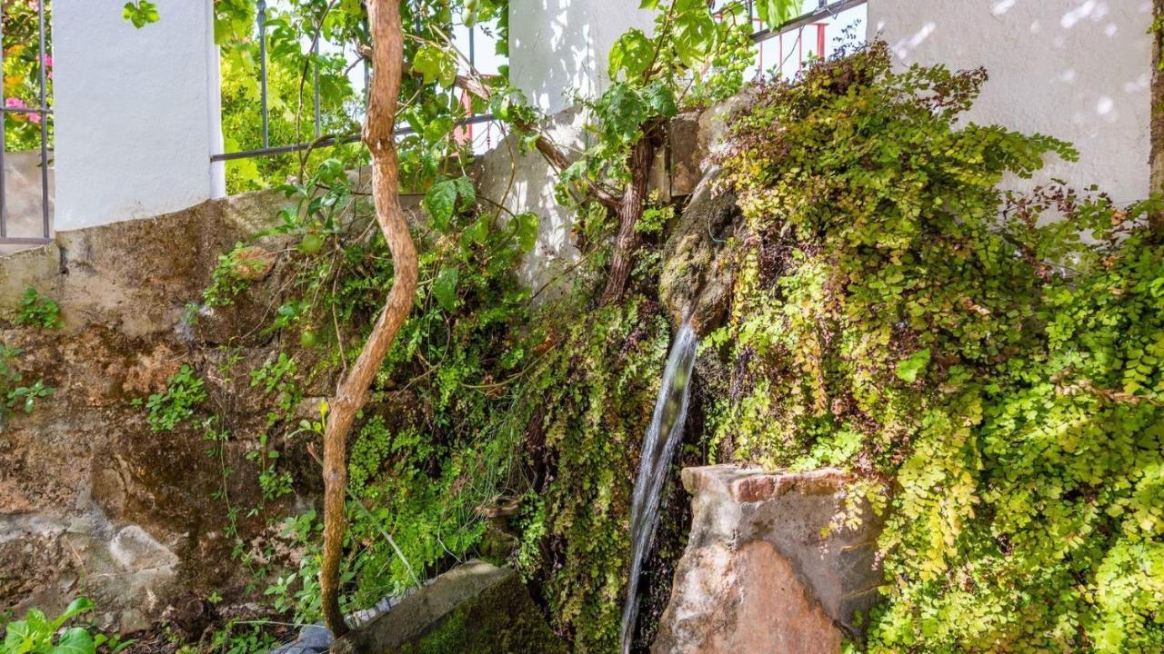 Molino Maroto Alhaurin El Grande By Ruralidays Villa Dış mekan fotoğraf